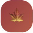 LiverSteps Kids maple leaf logo